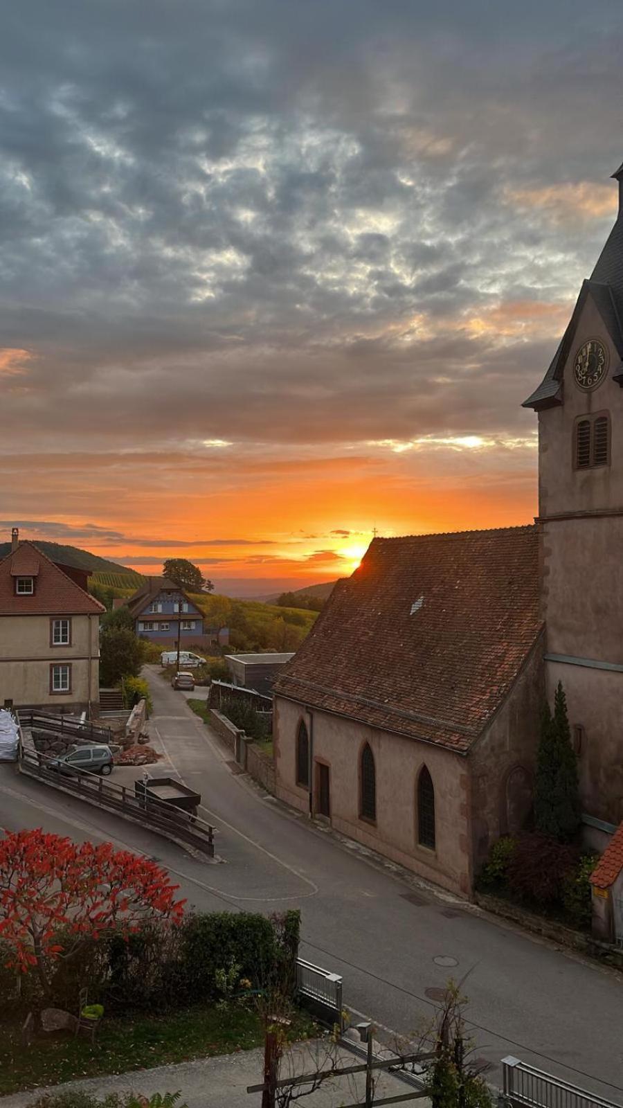 Chambre Du Vigneron - Domaine Leon Bleesz Reichsfeld Eksteriør billede