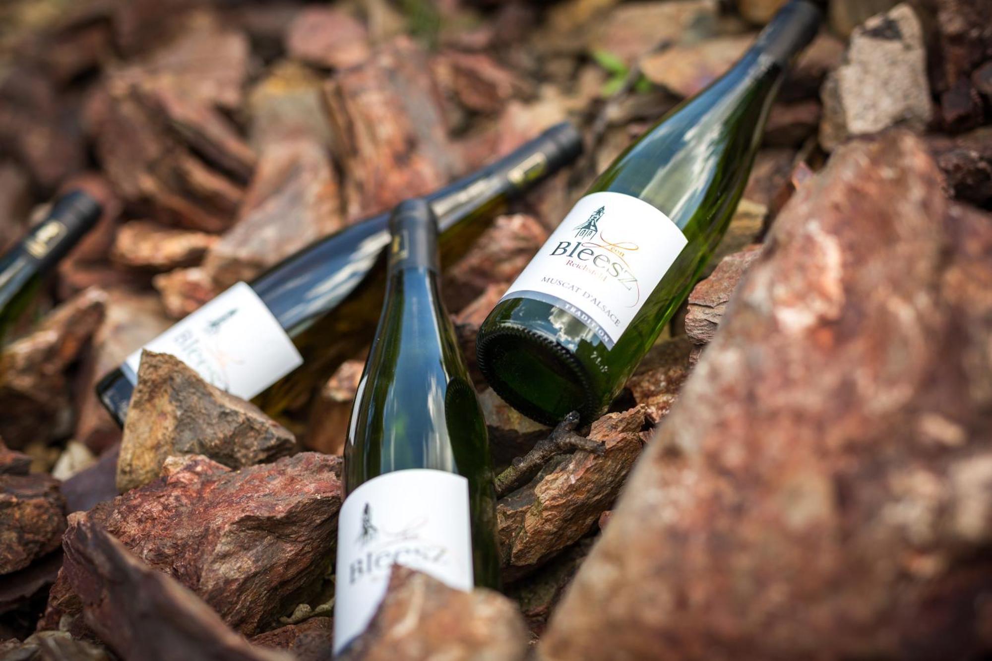 Chambre Du Vigneron - Domaine Leon Bleesz Reichsfeld Eksteriør billede