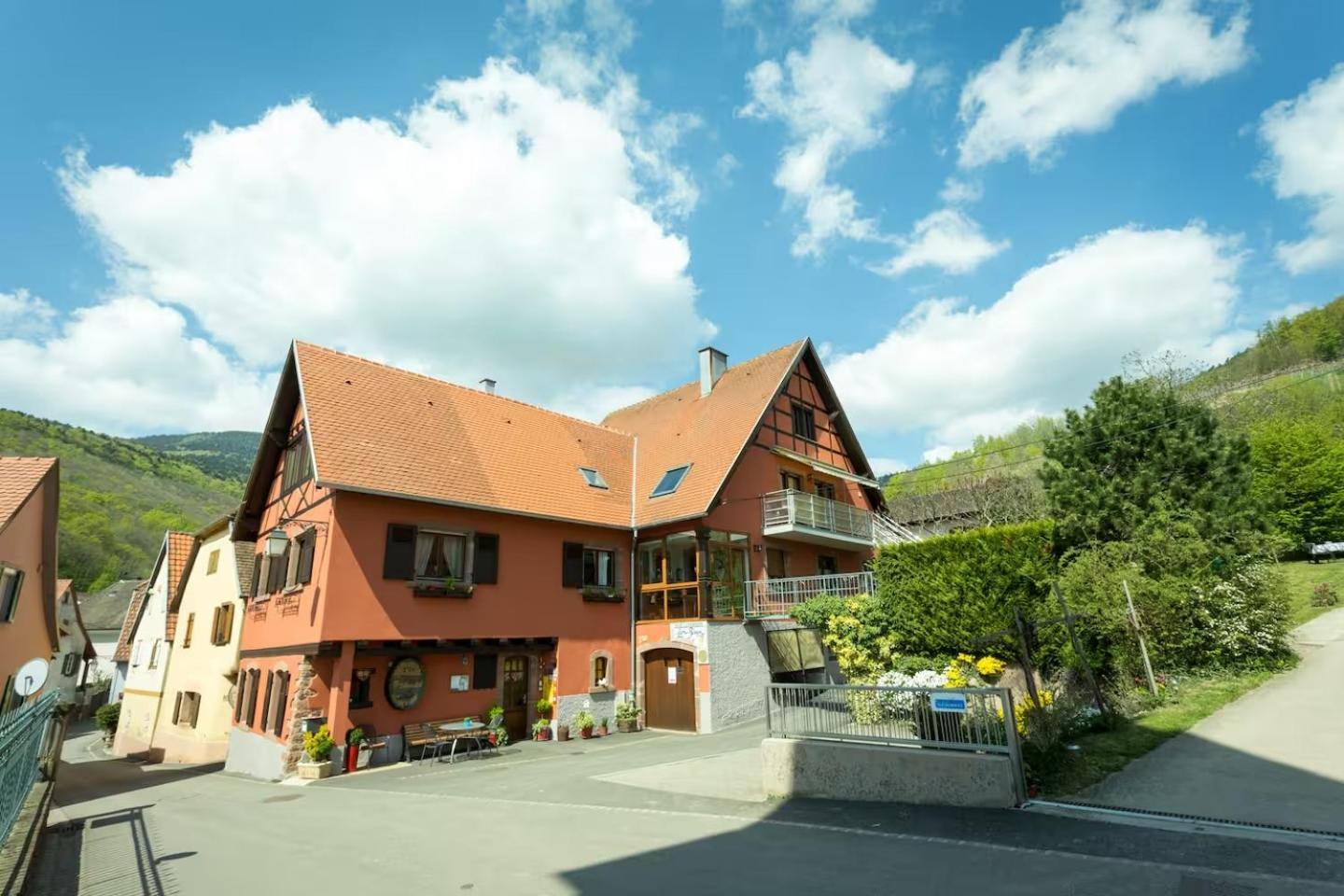 Chambre Du Vigneron - Domaine Leon Bleesz Reichsfeld Eksteriør billede